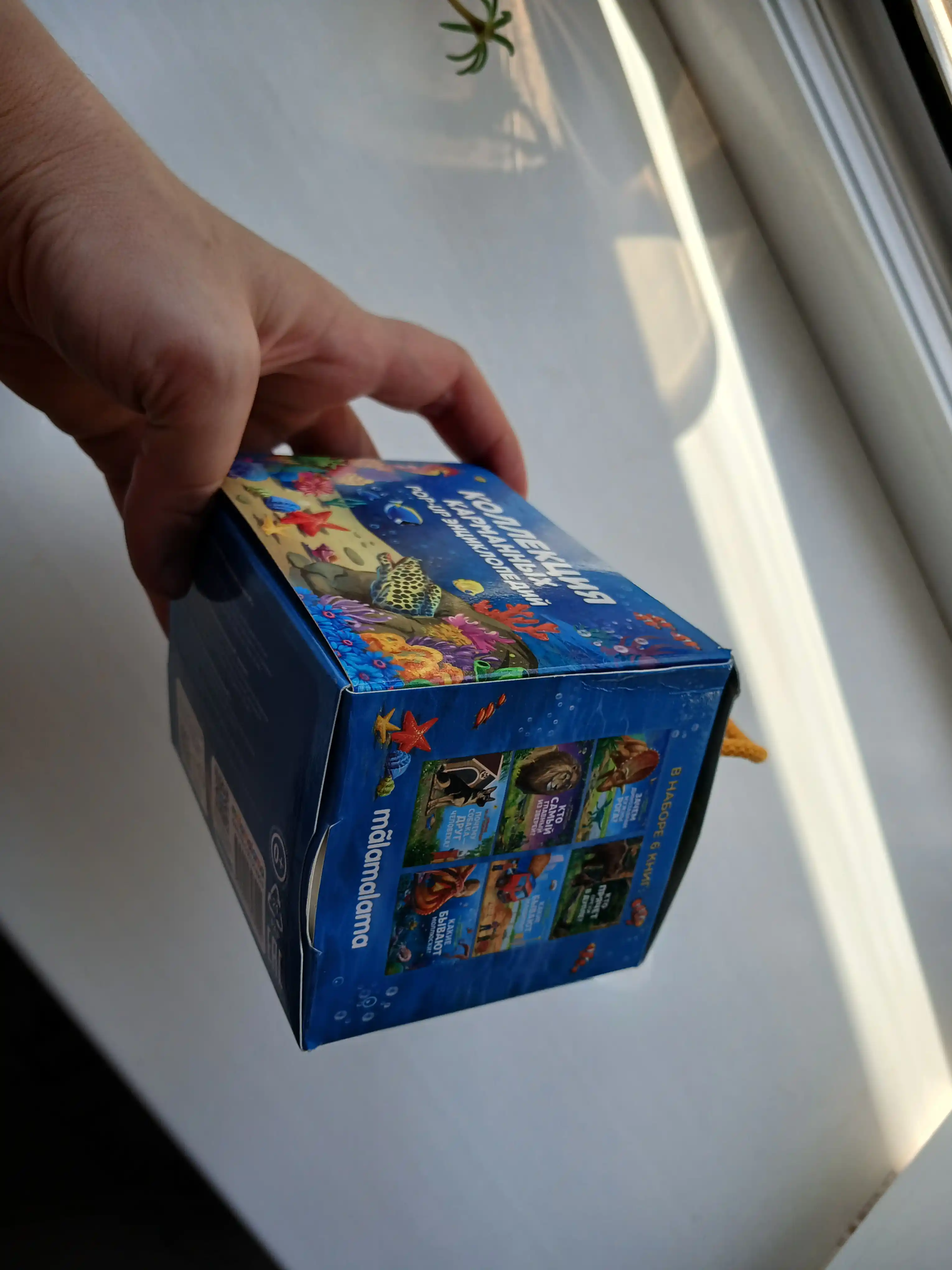 Bolalar uchun pop-up kitoblar-panorama, 6 ta 3D kitobli to‘plam, ertak va ensiklopediya