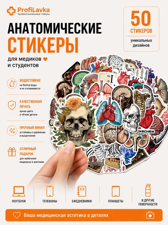 Анатомические стикеры, 50 шт, медицинские наклейки для студентов медиков и врачей - 