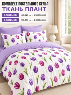 Lavanda