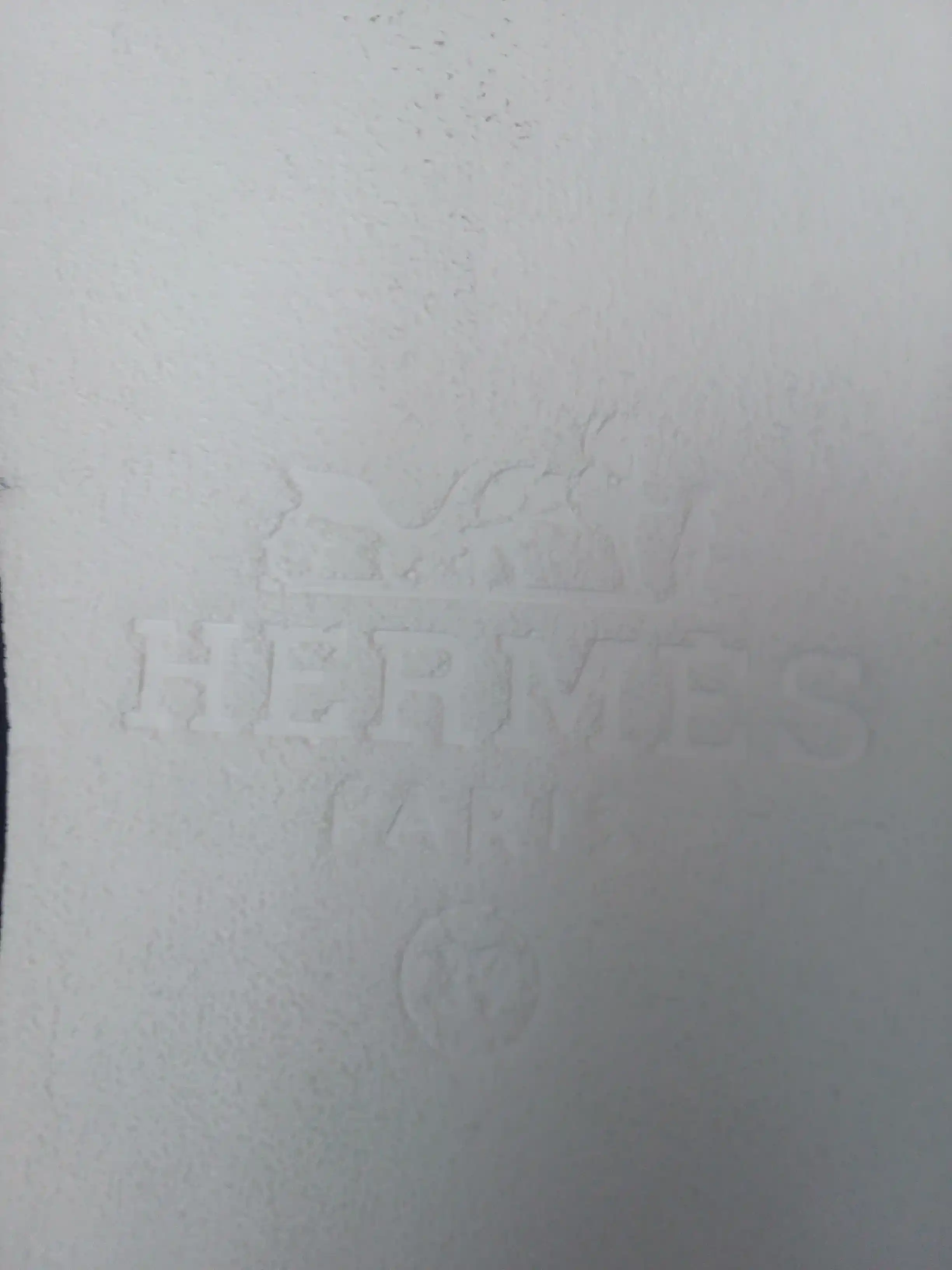 Erkaklar poyabzali, Hermes, shippaklar, yozgi poyabzal, 39-44