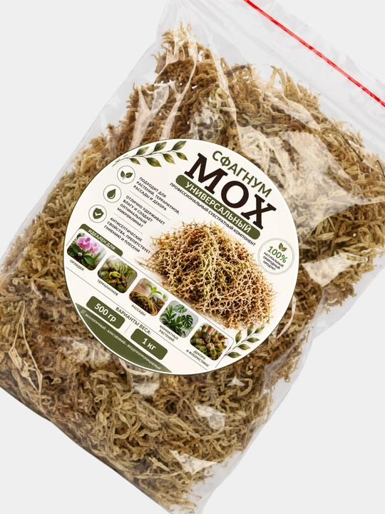 O'simliklar, terrariumlar va dekor uchun tabiiy sfagnum moxi