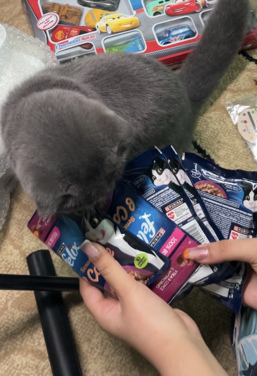 Felix Sensations mushuk nam ovqati, sousdagi sabzi va o'rdak, 75 gr 5 dona