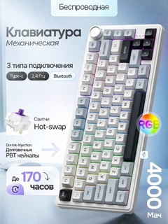Oq