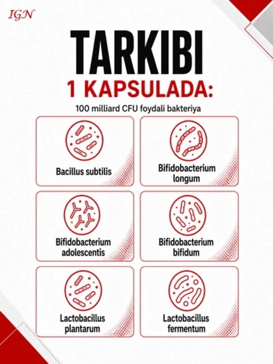 Bifido Pro Immuno — Kattalar uchun, ichak mikroflorasi va immunitet uchun probiotik