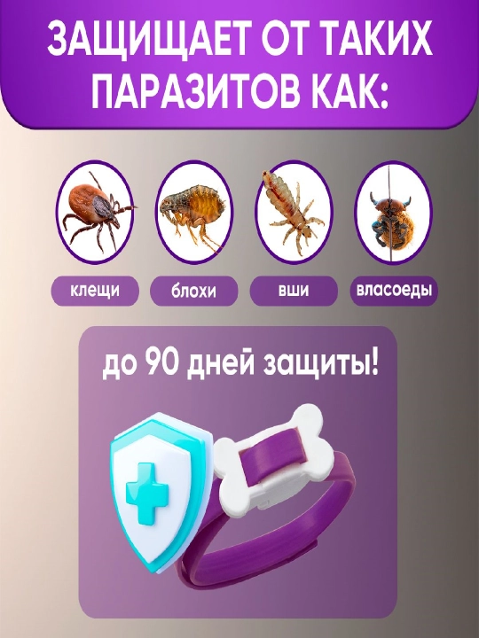 Ошейник от блох и клещей для кошек, длина 36 см, 1 штука