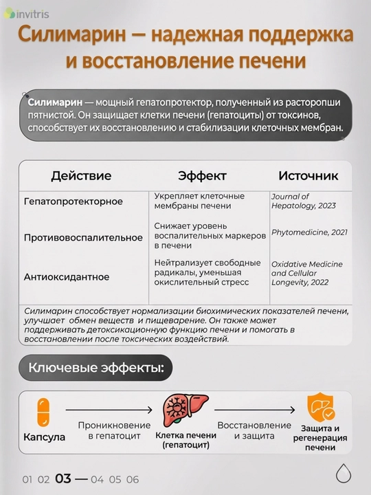 Силимарин, 300 мг, 60 капсул, для печени
