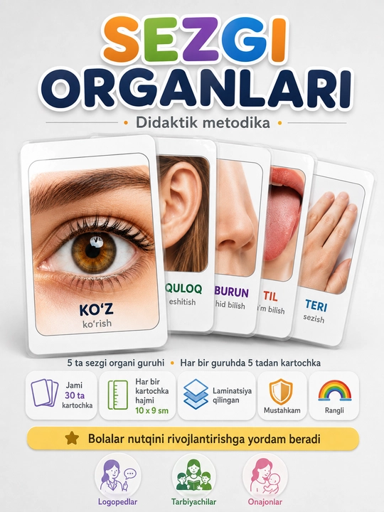 Sezgi organlari didaktik kartochkalari - 