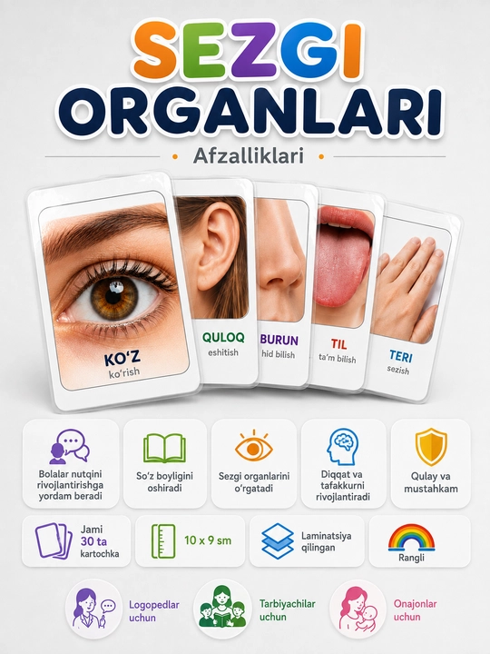Sezgi organlari didaktik kartochkalari