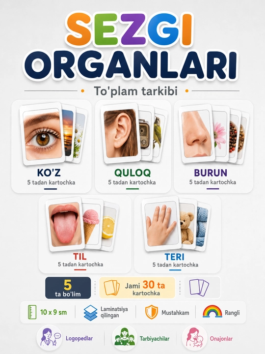 Sezgi organlari didaktik kartochkalari