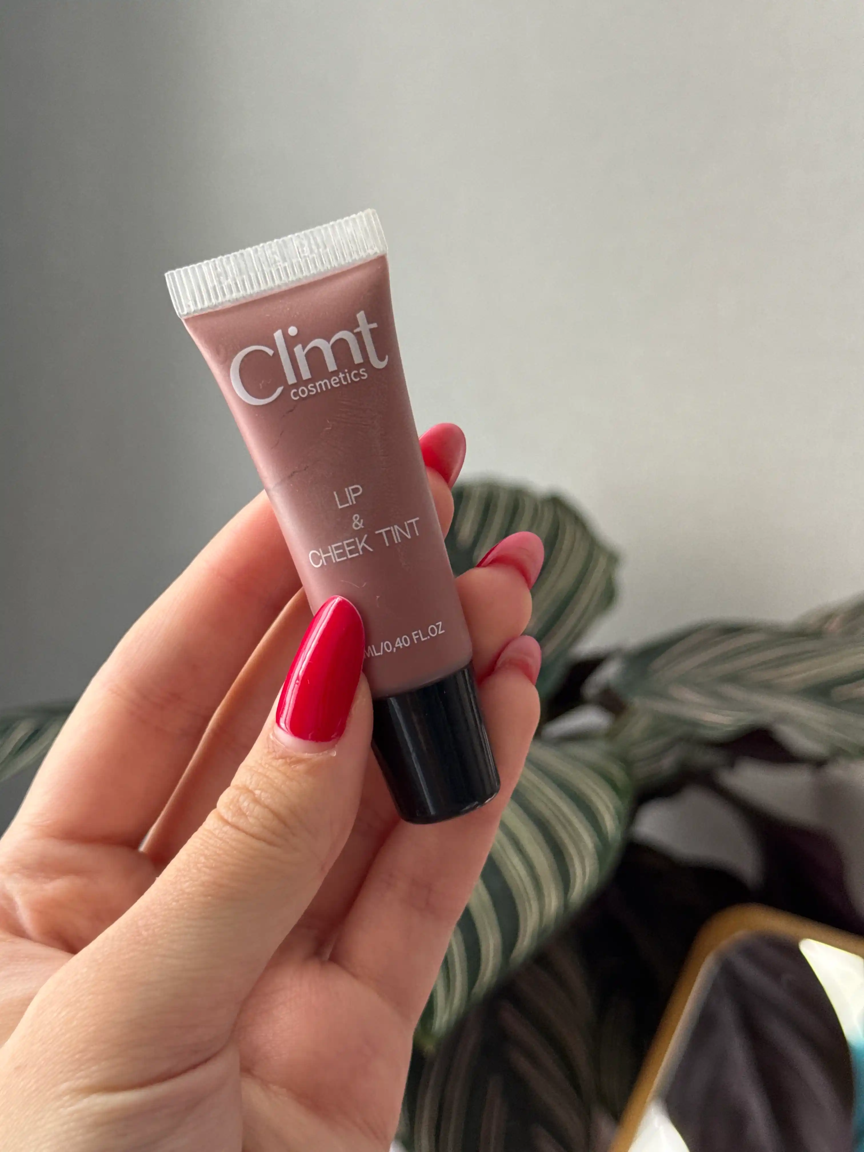 Тинт для губ, щек и век (3 в 1) матовый и стойкий Climtcosmetics