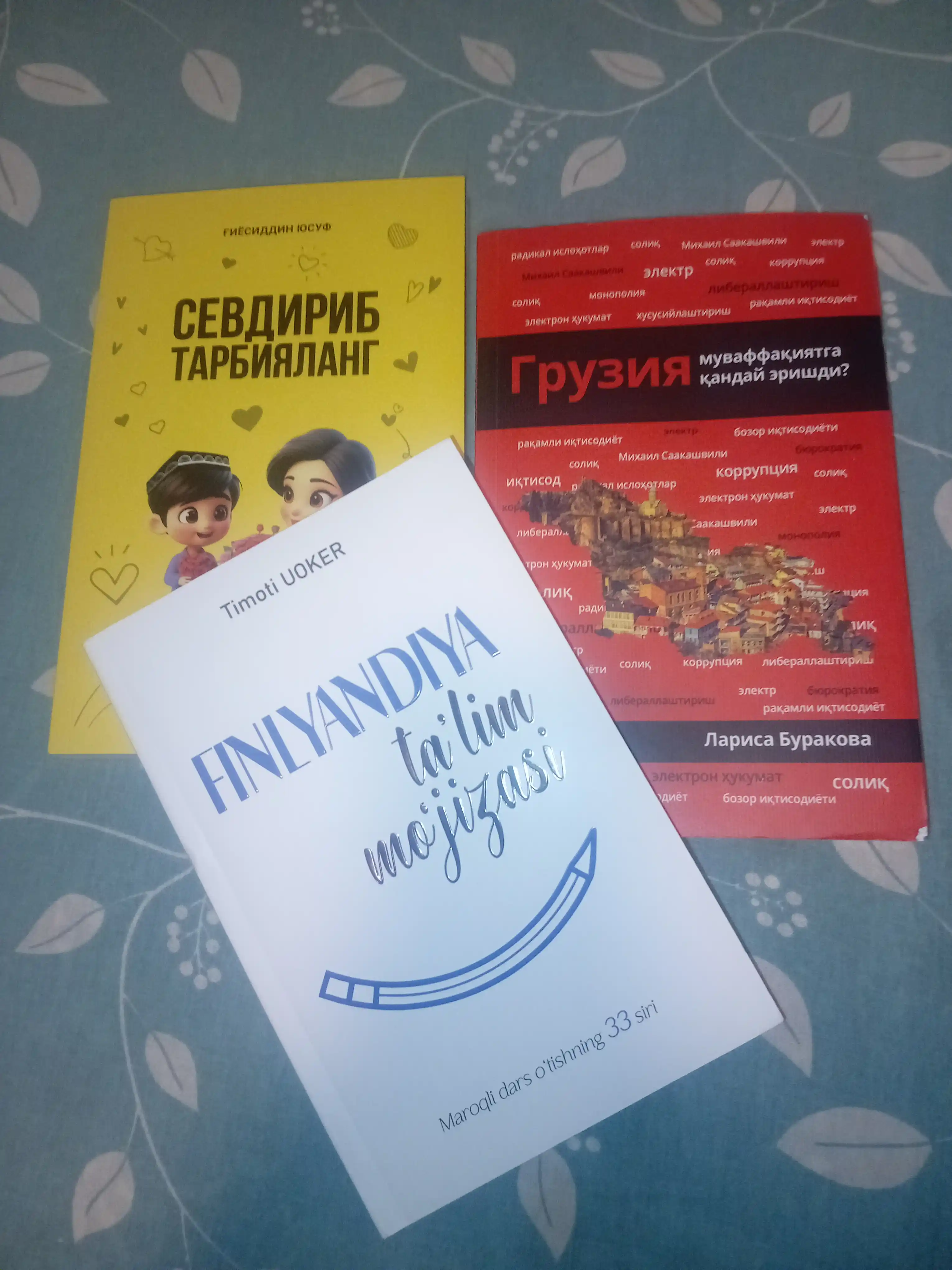 Kitob Larisa Burakova Gruziya muvaffaqiyatga qanday erishdi?, Islohotlar, Iqtisodiyot