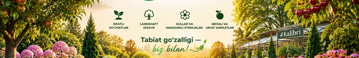 Kalibri.com