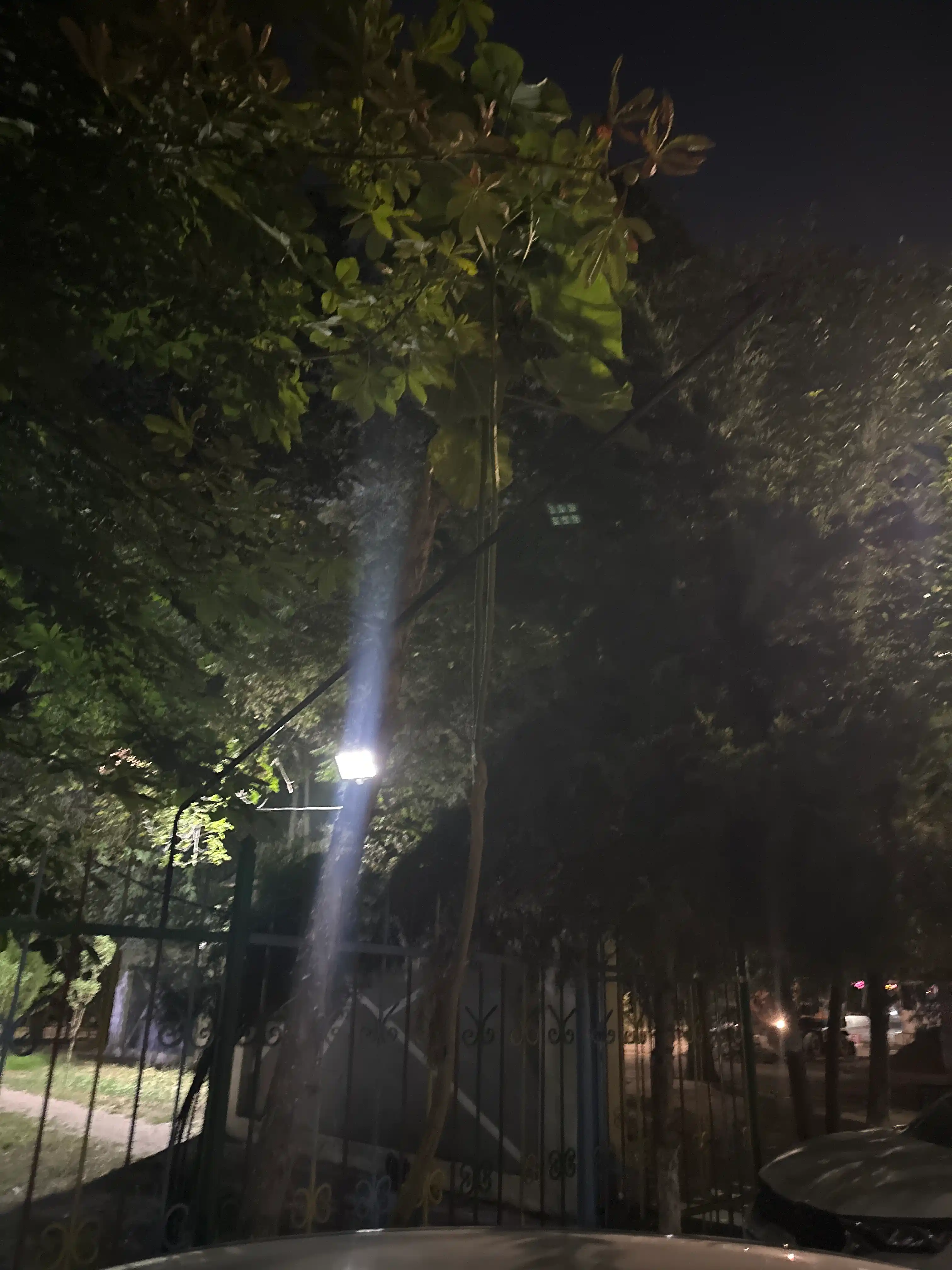 “SolarGuard 160” 30 Vt quvvatli quyosh energiyasi bilan ishlaydigan LED-proyektor.