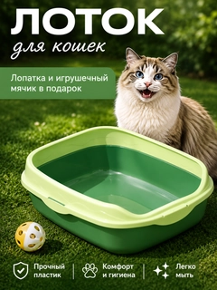 Салатовый