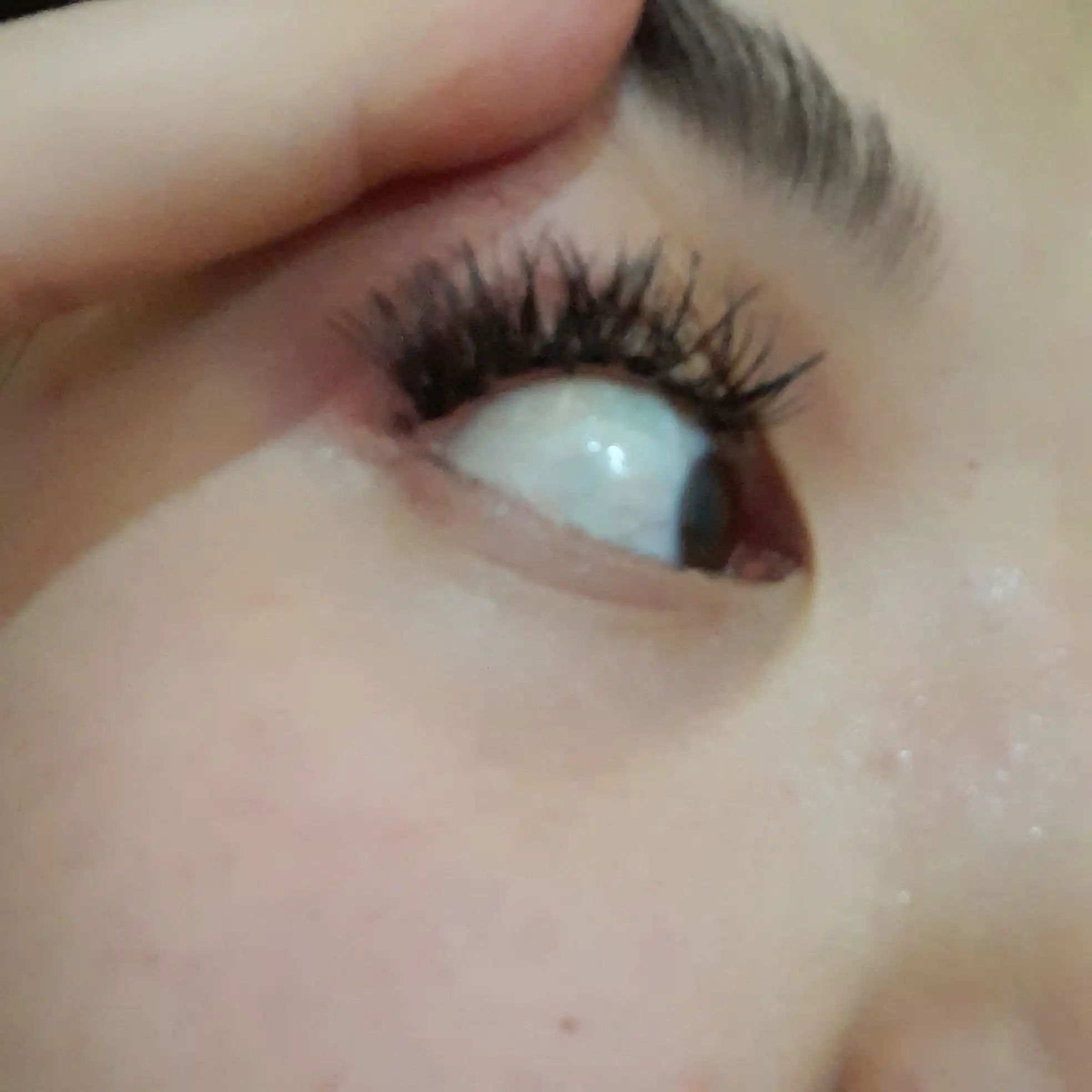Профессиональный набор пучковых ресниц "Beautifullkiss Lash Kit"