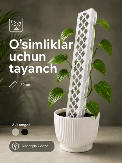 Chirmashuvchi xona o‘simliklari uchun tayanch-shpalera, 30 sm, 2 dona - 