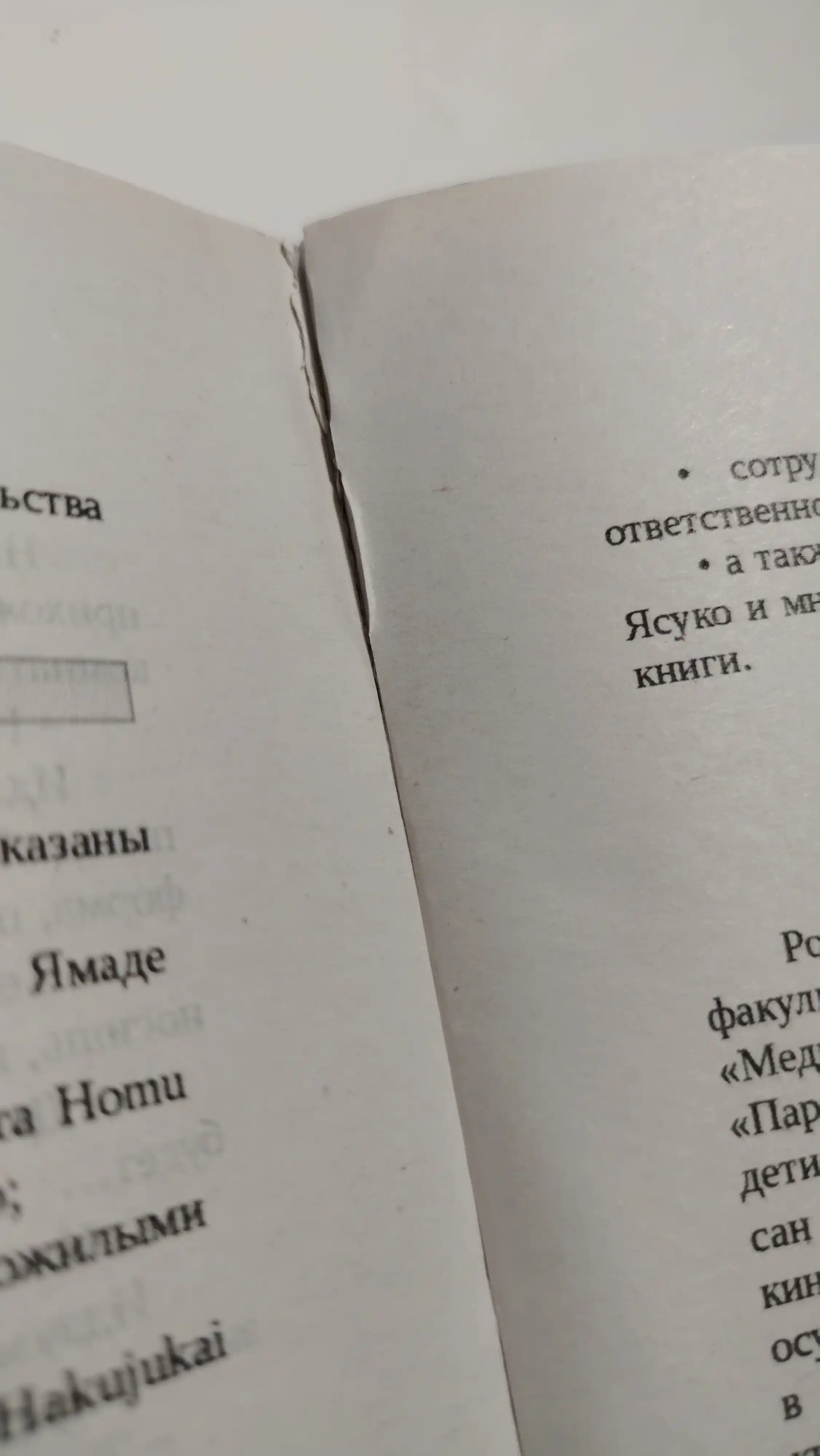 Сотня цветов, Японская драма о сыне, матери и ускользающей во времени памяти