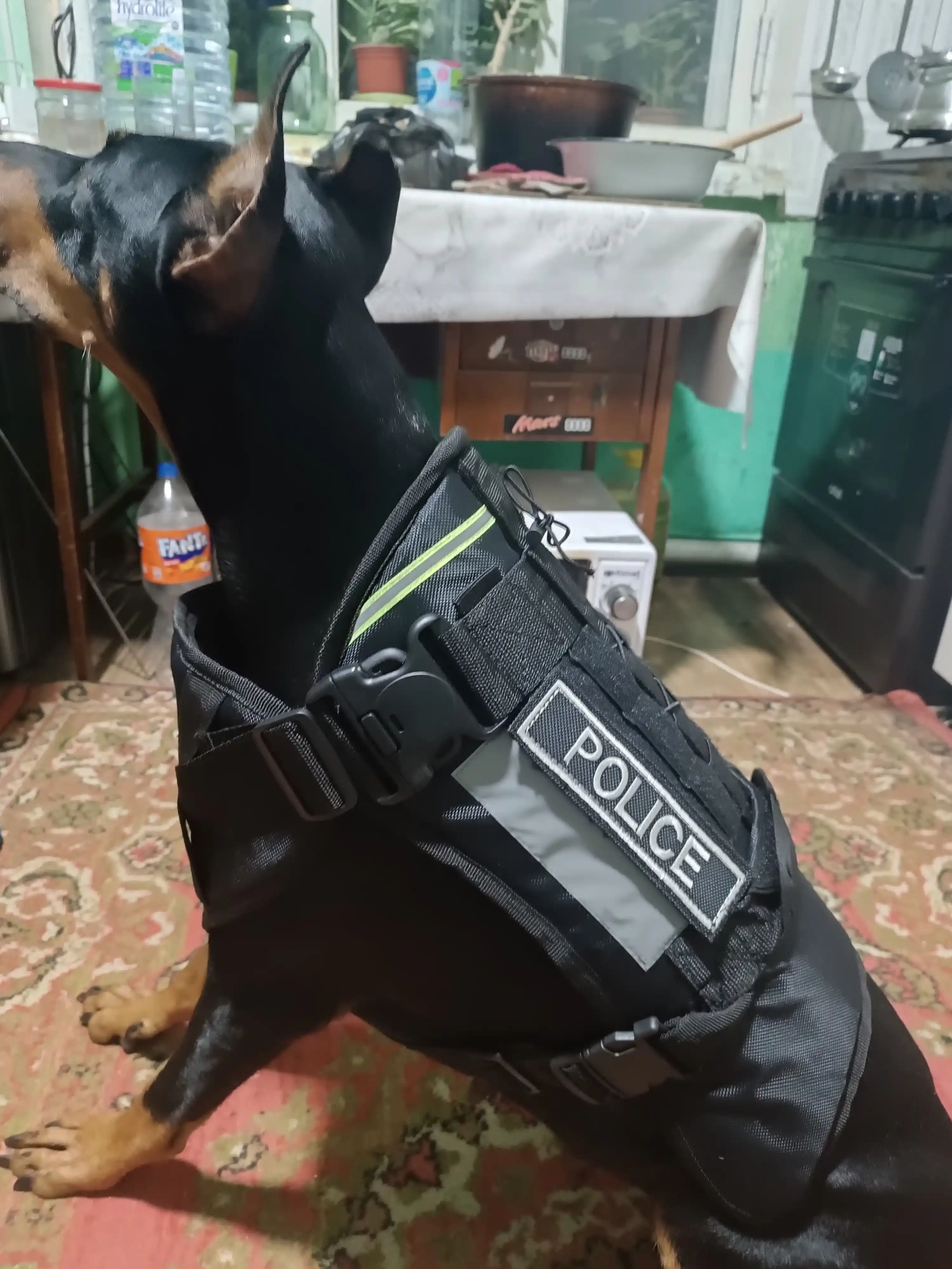 Itlar uchun shleyka taktik shleyka K9 shleykasi anjomlar, bog‘ichlar itlar uchun anjomlar