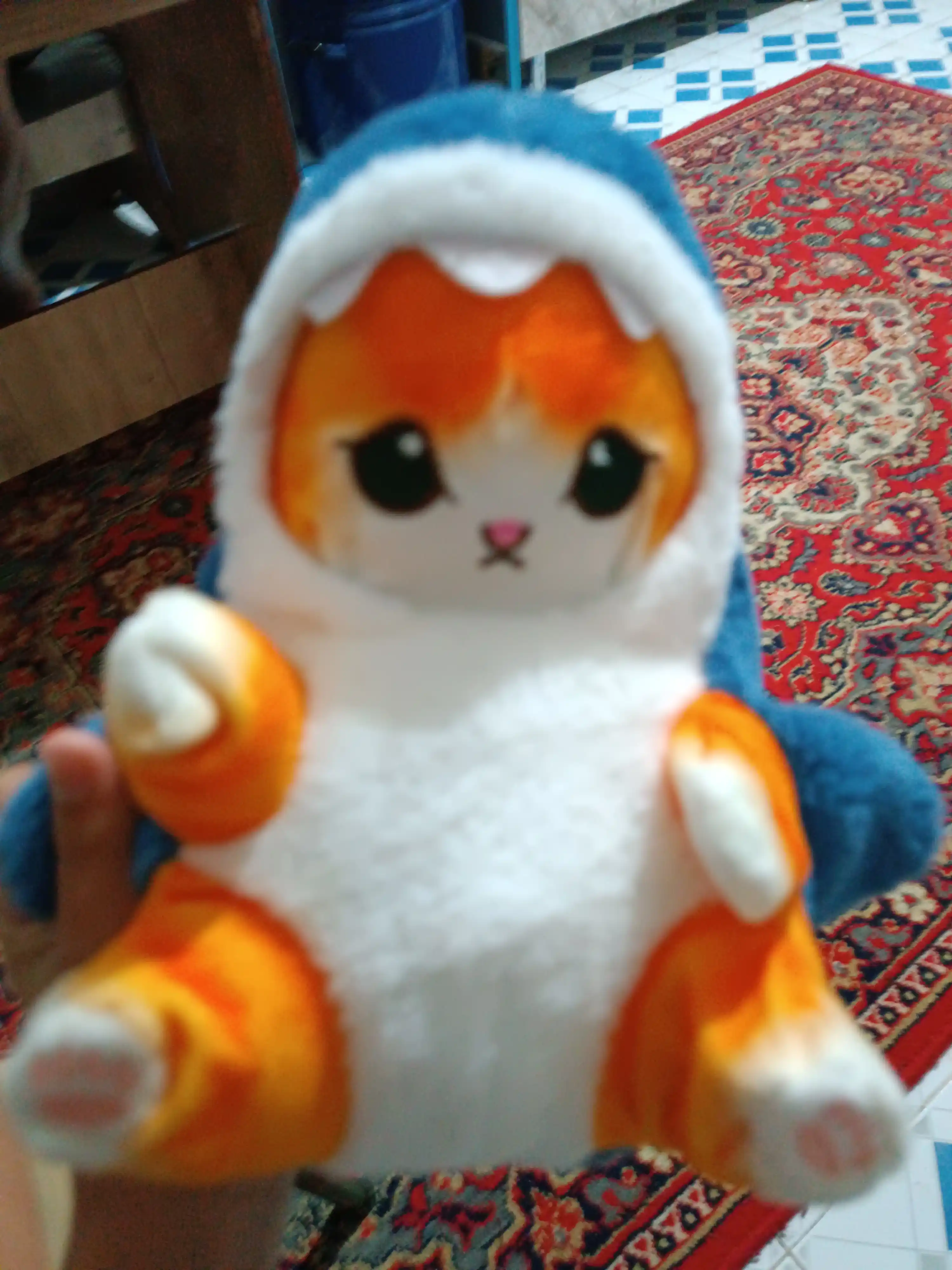 Мягкая игрушка кот акула плюшевый