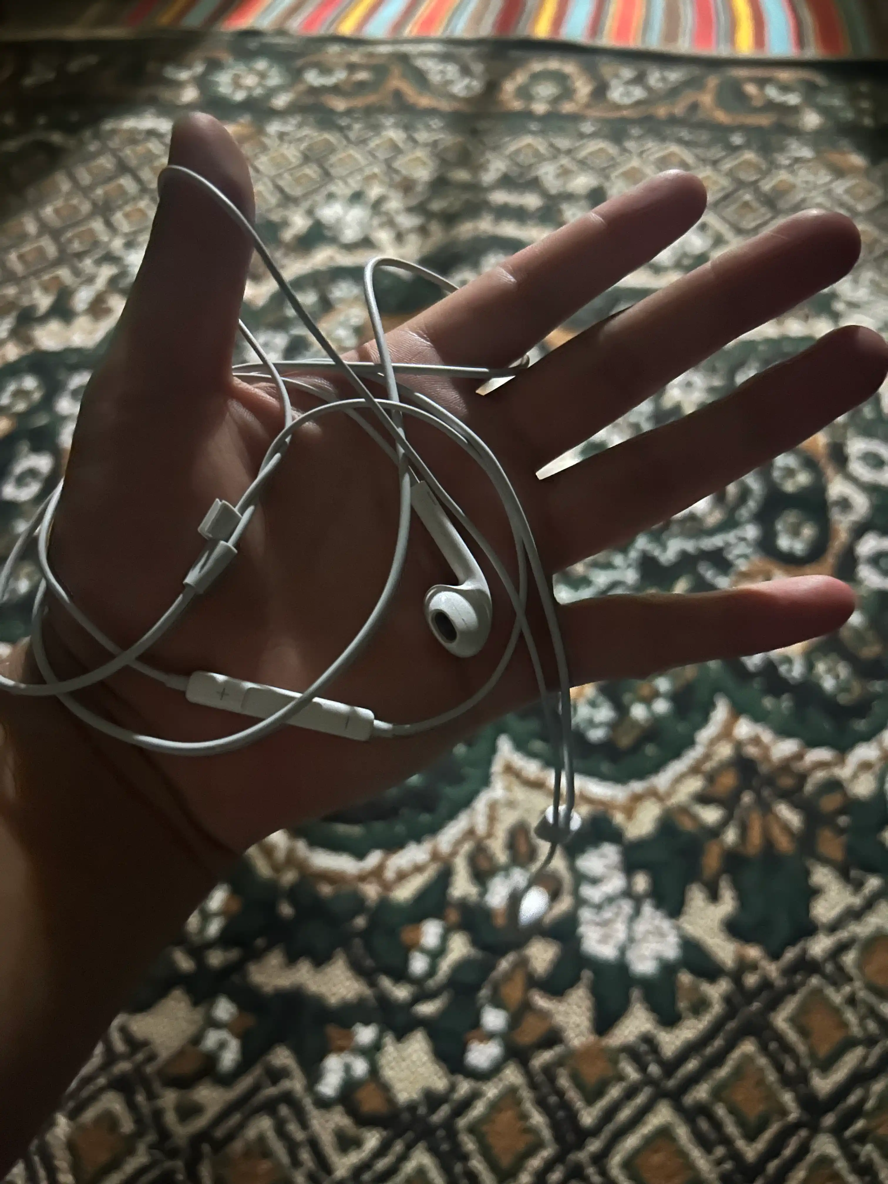 Simli quloqchinlar,  Type c kabeli va  Lightning kabeli, Bluetooth bilan