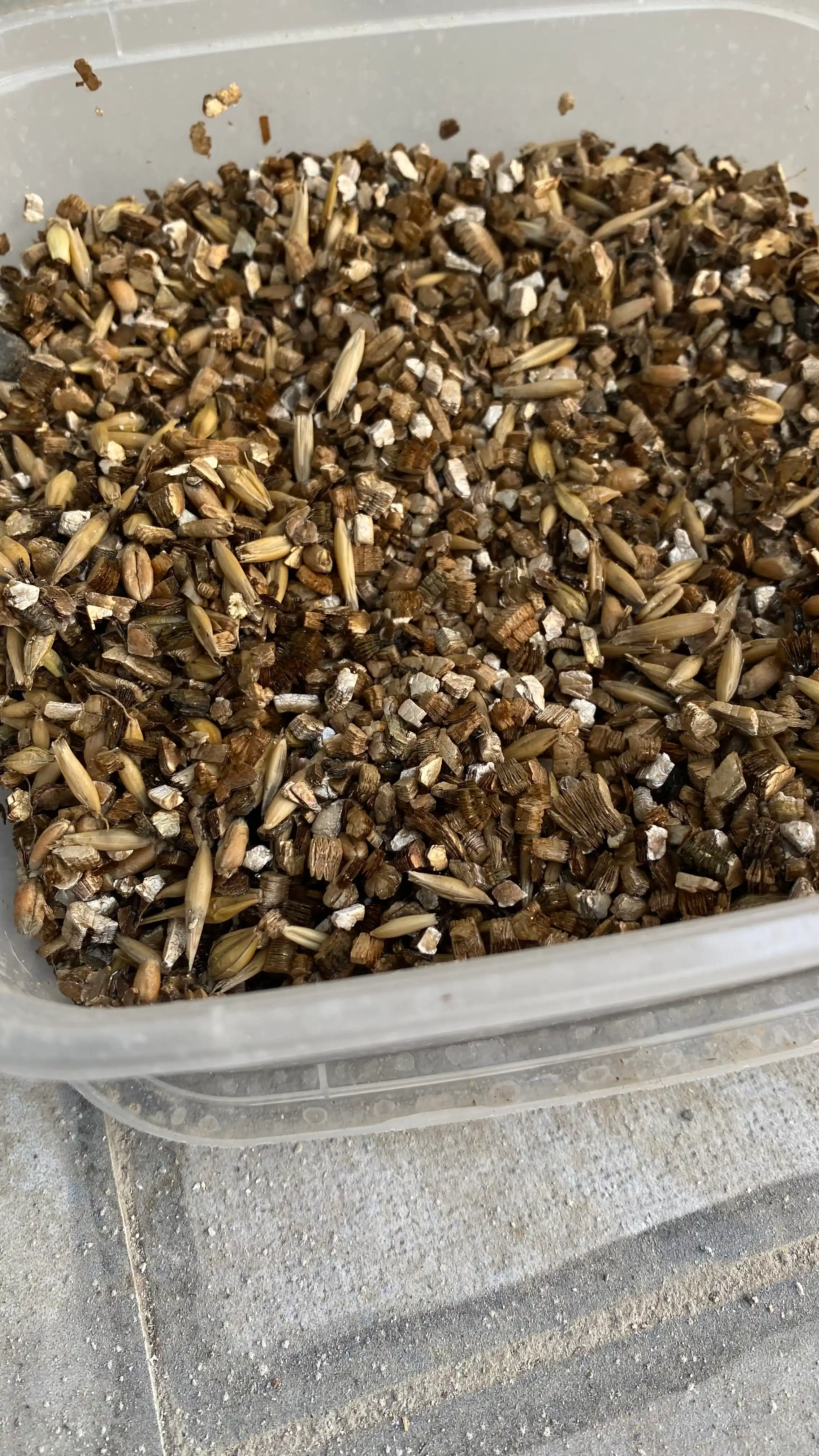 Smart Pets itlar va mushuklar uchun ko'kat, ko'kat undirish to'plami, 130 g