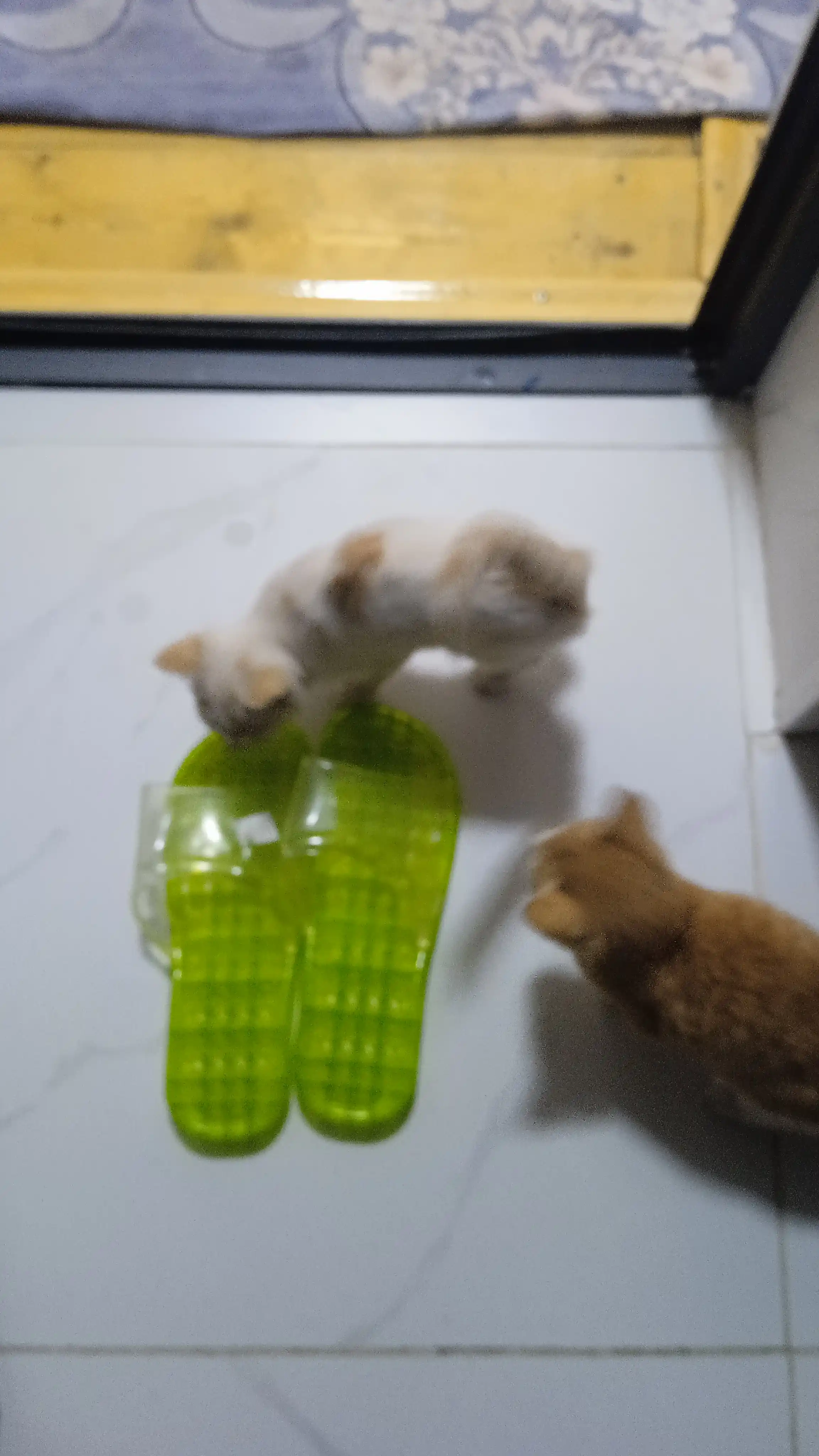 Тапочки нескользящие, для бани и сауны