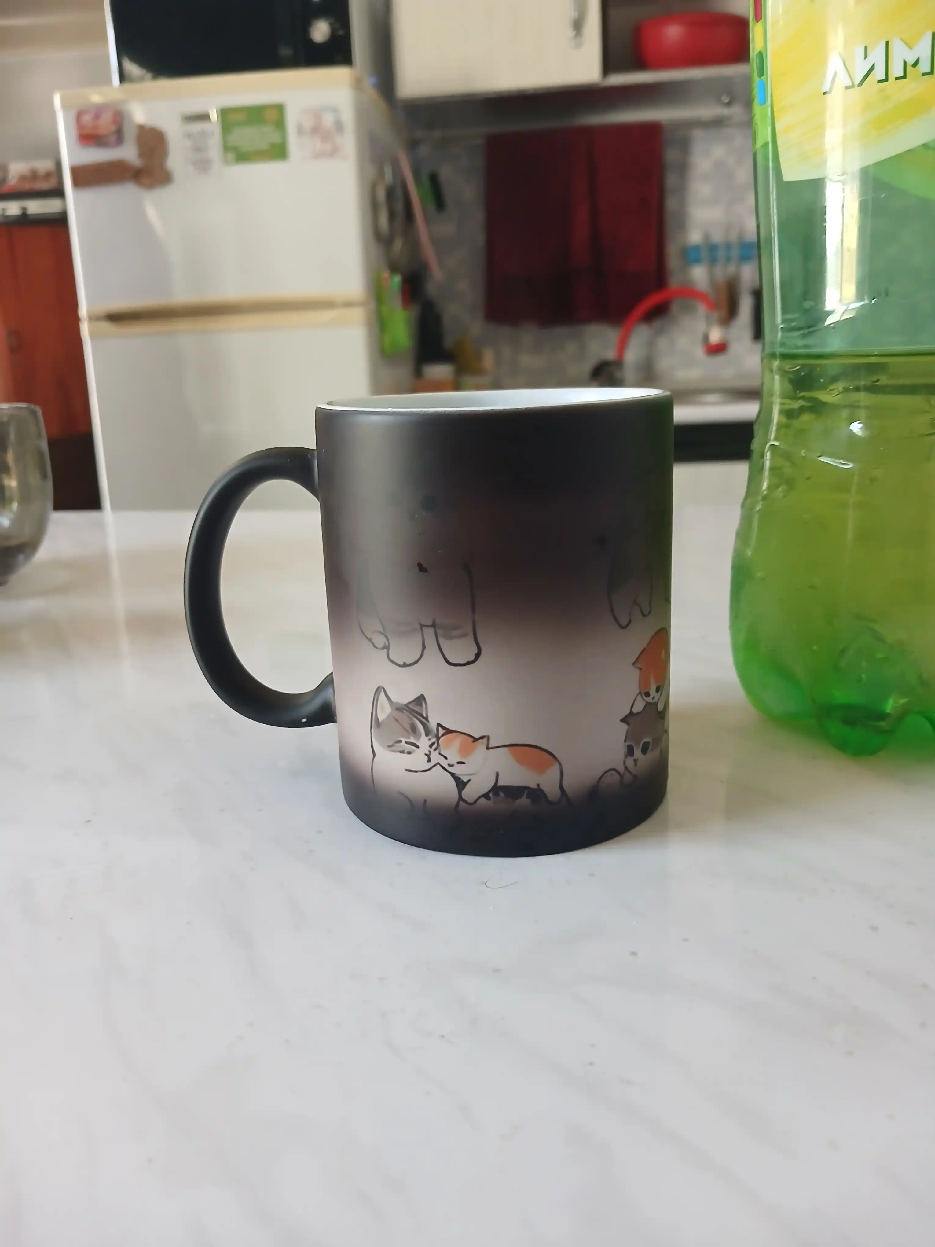Krujka-xameleon, rangini o‘zgartiradigan bosilgan krujka, xotin, er, opa-singil, o'g'il
