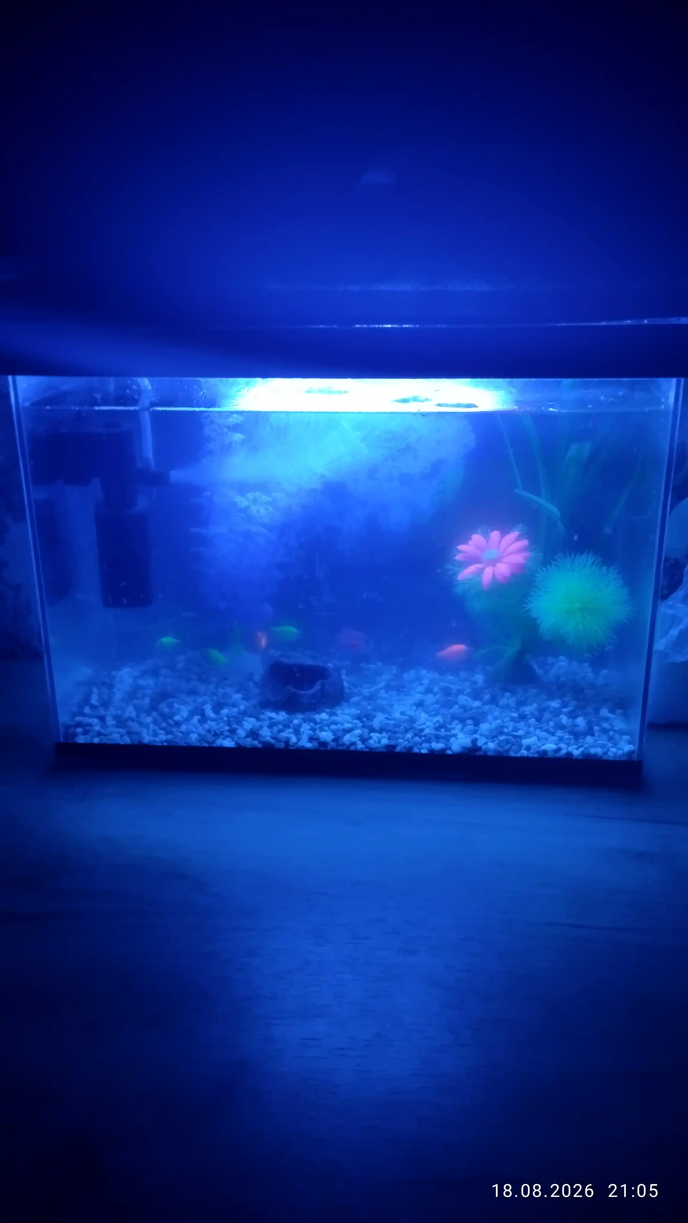Akvarium uchun sun'iy o'tlar dekor o'simlik bezak suniy gul baliqlar uchun