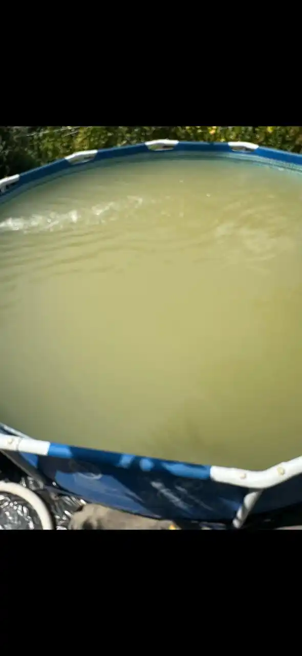 Средство для осветления и устранения загрязнений в воде в бассейне, Альгицид, Флокулянт