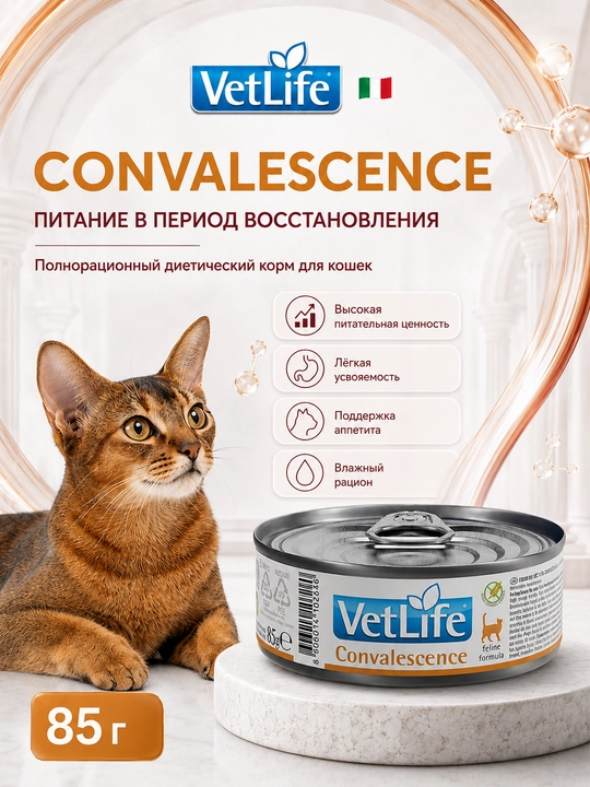 Farmina Vet Life Convalescence mushuklar uchun parhezli nam yem, 85 gr - 