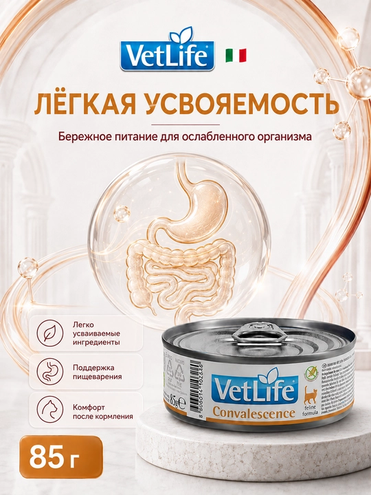 Farmina Vet Life Convalescence диетический  влажный корм  для кошек, 85 гр