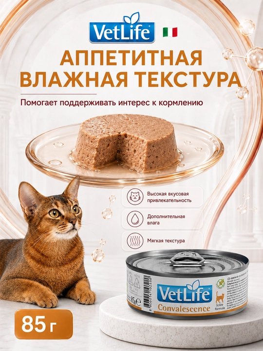 Farmina Vet Life Convalescence диетический  влажный корм  для кошек, 85 гр