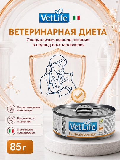 Farmina Vet Life Convalescence диетический  влажный корм  для кошек, 85 гр
