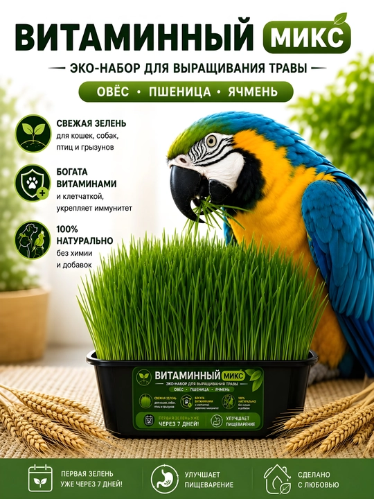 Трава для кошек «Витаминный микс», набор для выращивания травы