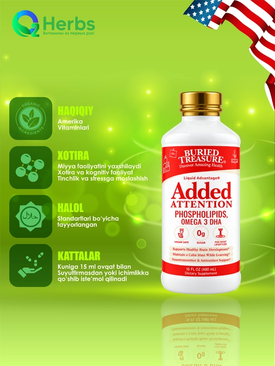 Fosfolipidlar va Omega-3 DKO, Buried Treasure, Added Attention, 480 ml - 
