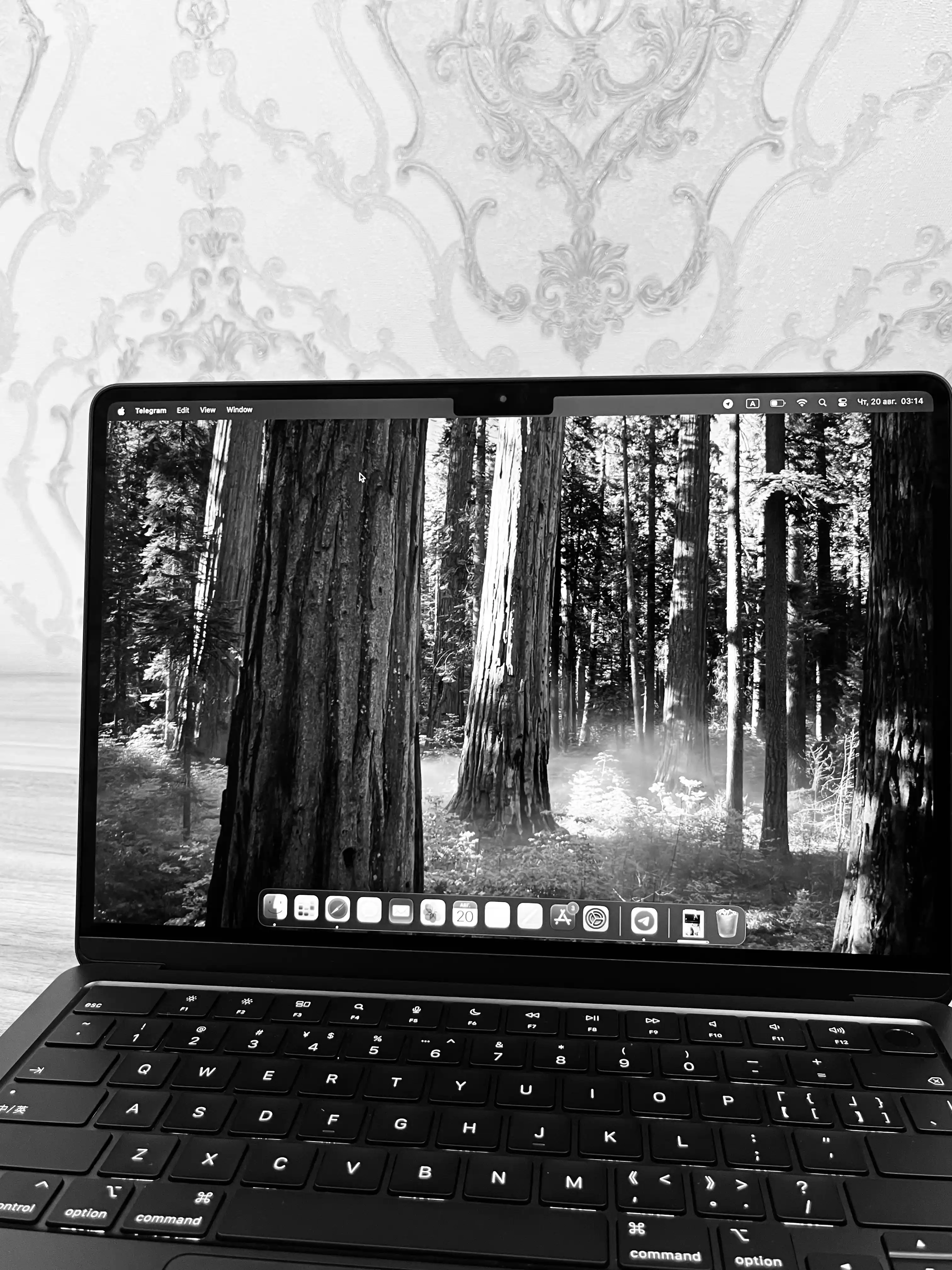 Ноутбук MacBook Air 13 M2 / 16GB / 256GB