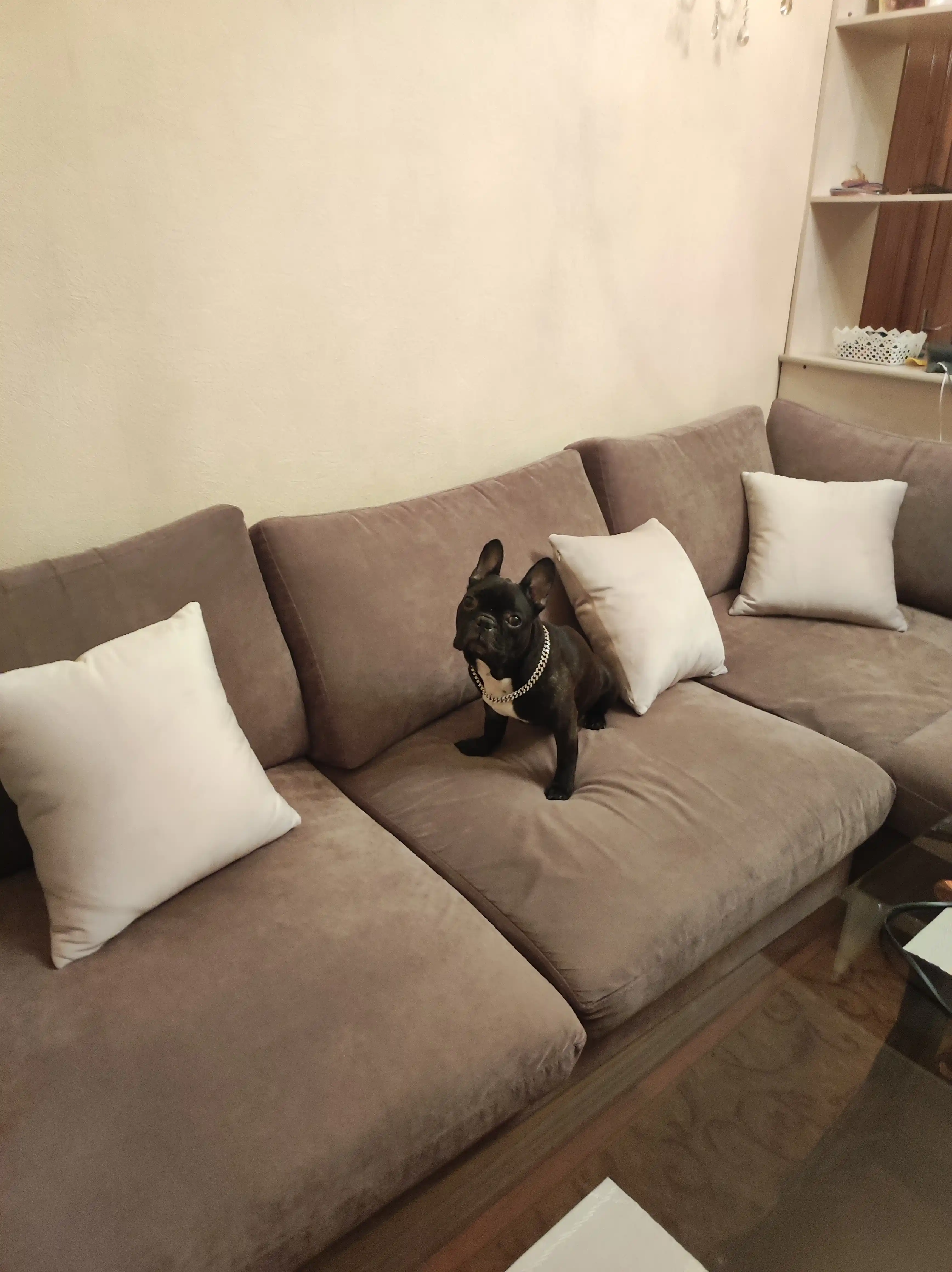 Ofis va uy uchun 45×45 sm o‘lchamdagi interyer dekorativ yostiq, velour, yashin yostiqchasi