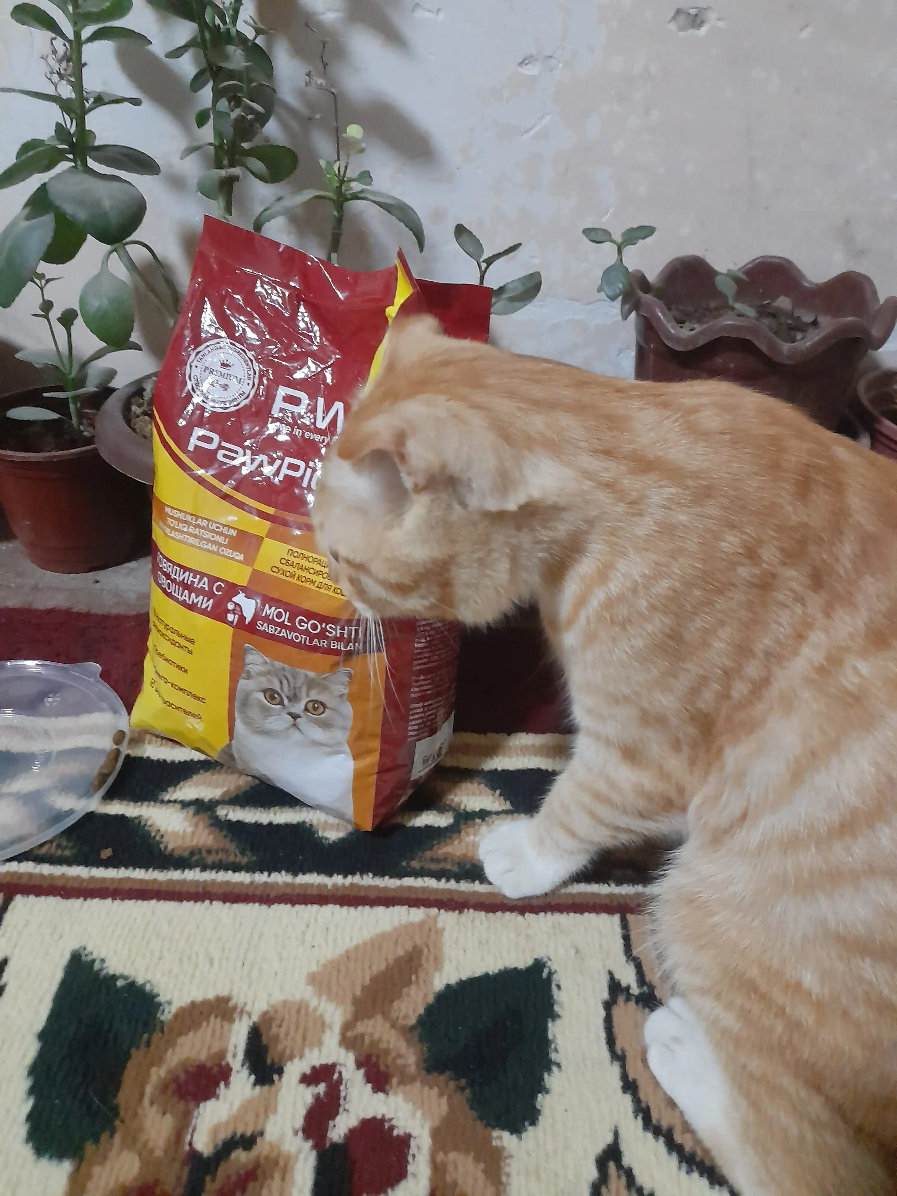 Paw Picks сухой корм для кошек с говядиной и овощами, 1 кг