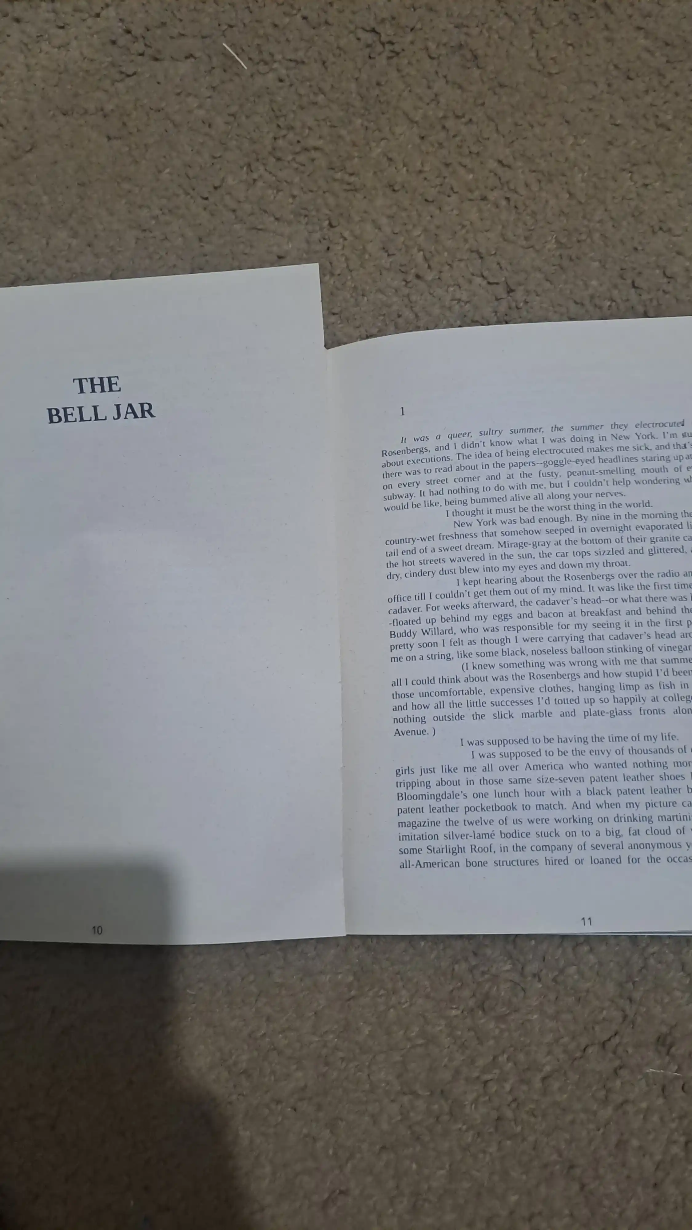 The Bell Jar, Sylvia Plath