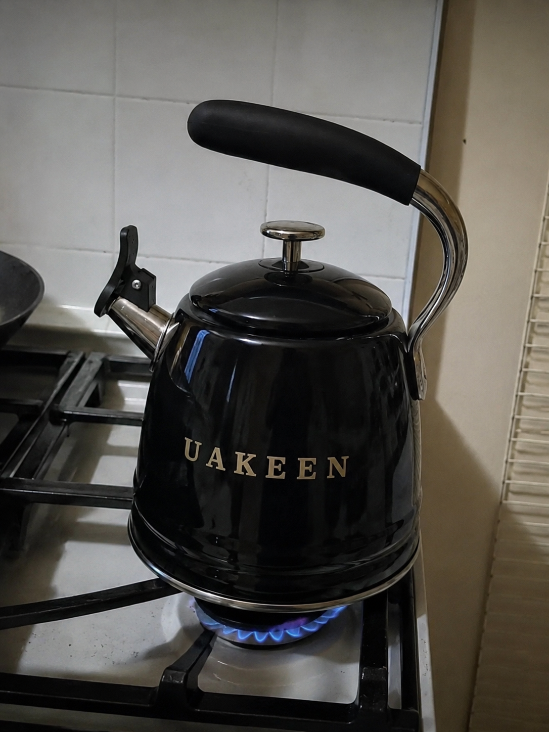 UAKEEN hushtakli choynak — 3.5 litr, zanglamaydigan poʻlat, silikon tutqich