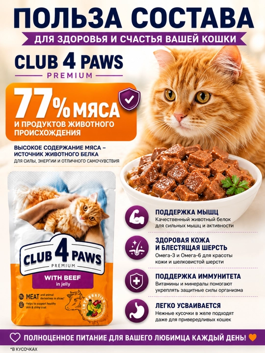 CLUB 4 PAWS Premium — влажный корм для кошек с говядиной в желе, 100 г