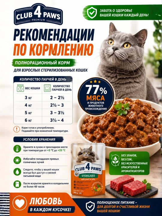 CLUB 4 PAWS Premium — влажный корм для кошек с говядиной в желе, 100 г