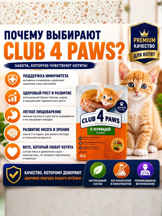 CLUB 4 PAWS Premium — mushuklar uchun mol go‘shtli jeledagi nam yem, 100 g