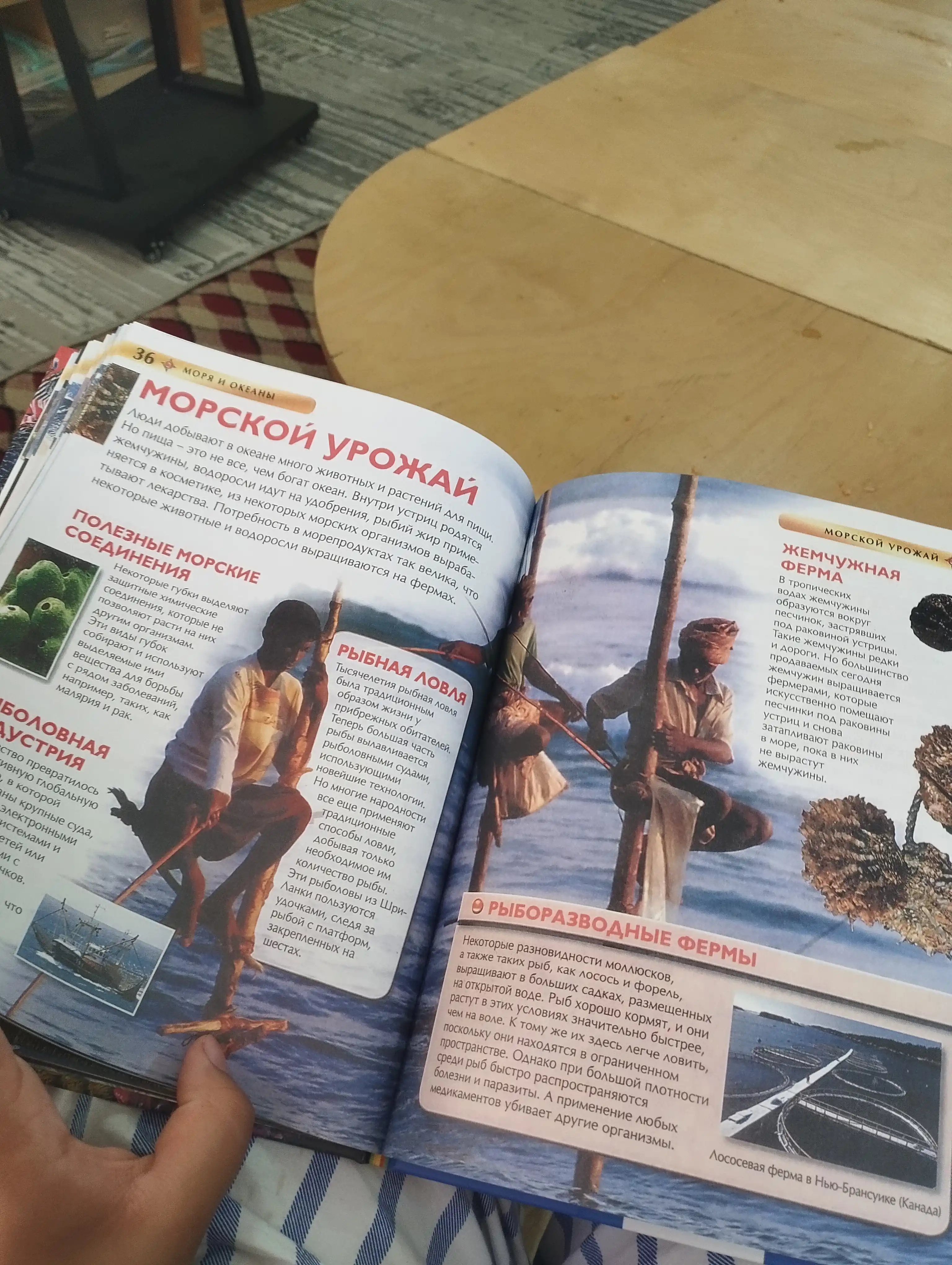 Энциклопедия Моря и океаны, детская энциклопедия, твердый переплет, формат А4