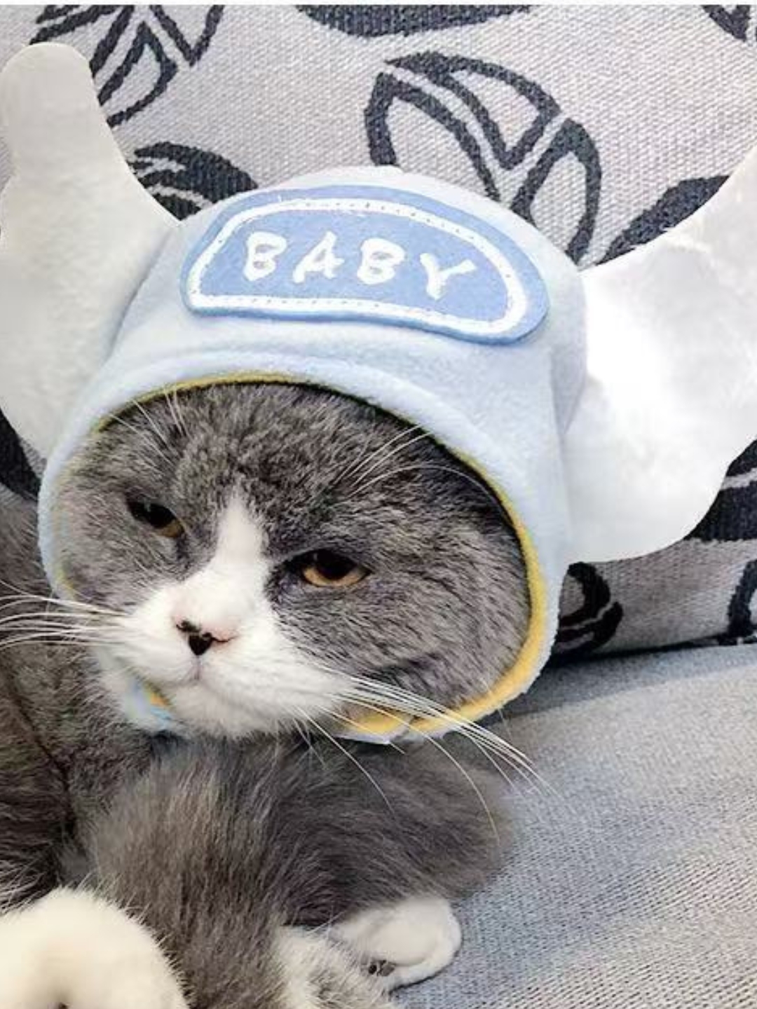 Шапка для кошек с ушками, мягкий костюм для питомца