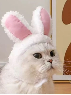 Белый