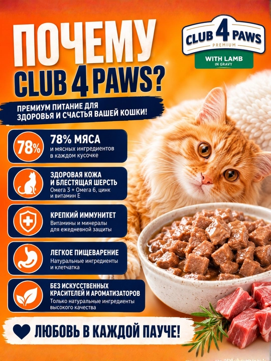 CLUB 4 PAWS Premium — влажный корм для кошек с говядиной в желе, 100 г