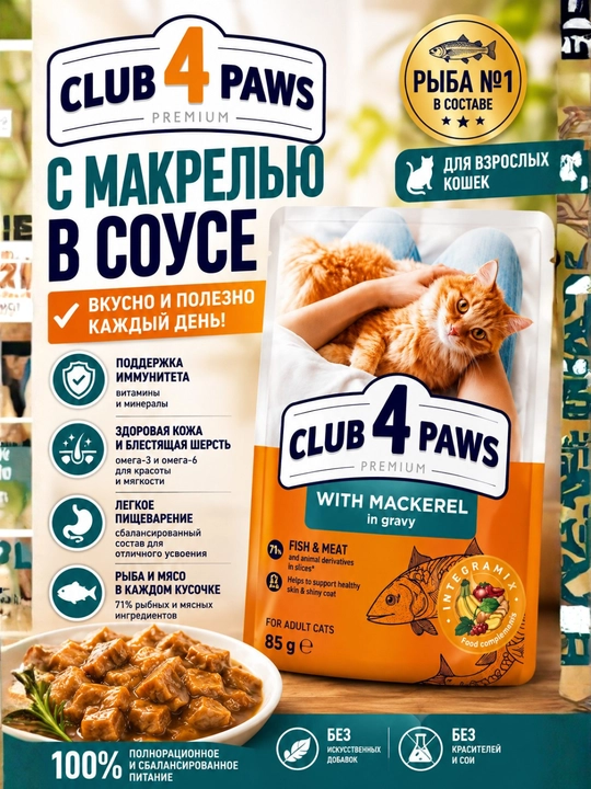 CLUB 4 PAWS Premium — влажный корм для кошек с говядиной в желе, 100 г
