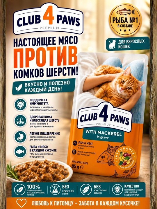 CLUB 4 PAWS Premium — влажный корм для кошек с говядиной в желе, 100 г