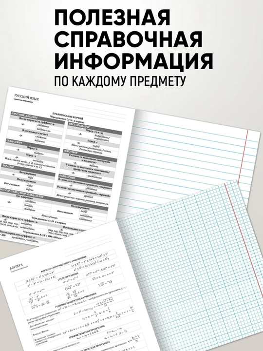 A5 formatda fan daftarlar to‘plami, 48 bet, katak va chiziqli, 10-12 dona, qo‘llanma bilan